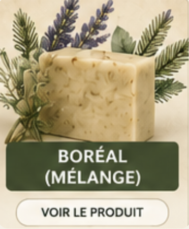 Savon boréal